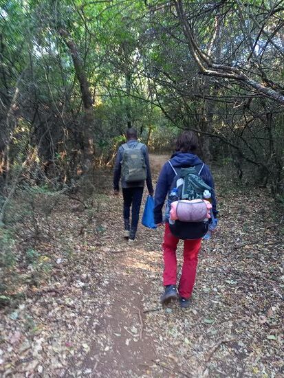 Dann geht es los. Zunächst recht harmlos auf weichen Waldboden, langsam ansteigend und gut beschattet.