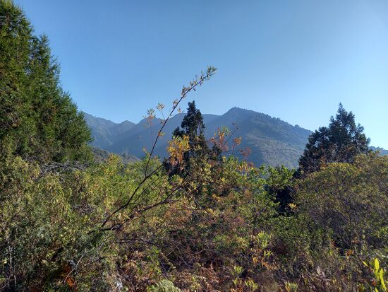 In der Ferne, ganz weit oben ist unser heutiges Ziel.