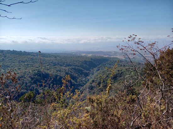 Ich nutze meine Atempausen um auch mal den Blick in die Ferne schweifen zu lassen.