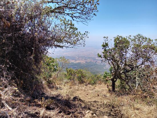 Ein Blick in Richtung Katesh