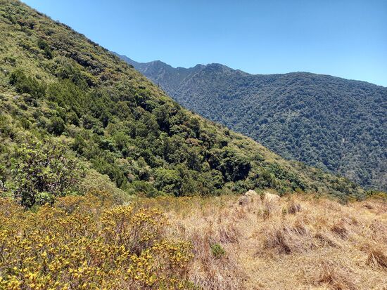 Irgendwo da oben ist das Ziel - immer noch ganz schön weit entfernt.