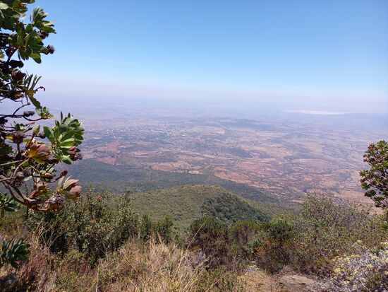 In der Ferne wieder der Blick Richtung Salzsee.