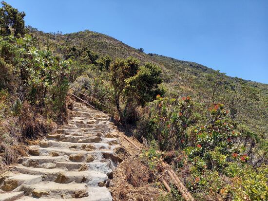 Schließlich heißt es ungezählte Treppen steigen.