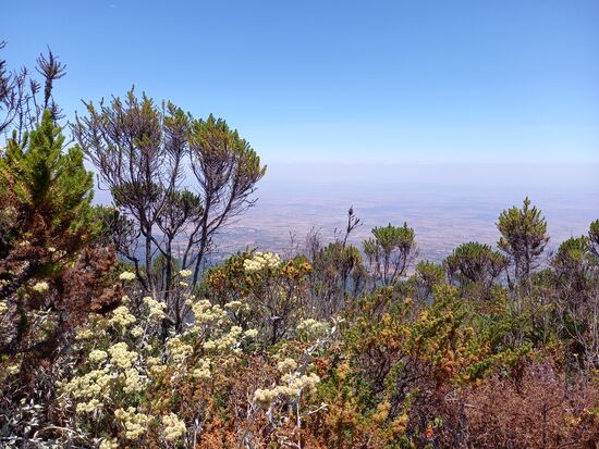 Eine abwechslungsreiche Vegetation