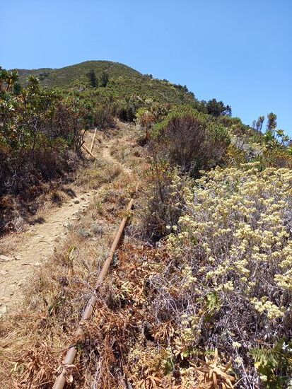 Über steiniges Geröll marschiere ich mit gefühlten unzähligen Verschnaufpausen weiter.
