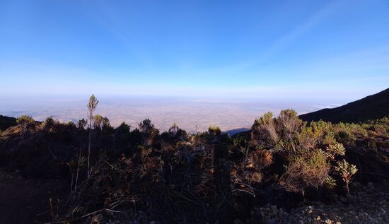 Immer wieder schweift mein Blick in die Ferne.