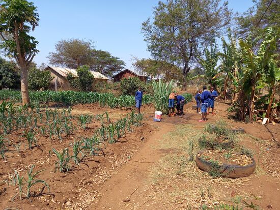 Der Garten der Schule
