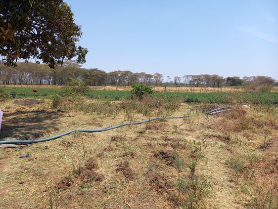 Jasson sucht dringend Freiwillige die sich mit Wassermanagement auskennen.