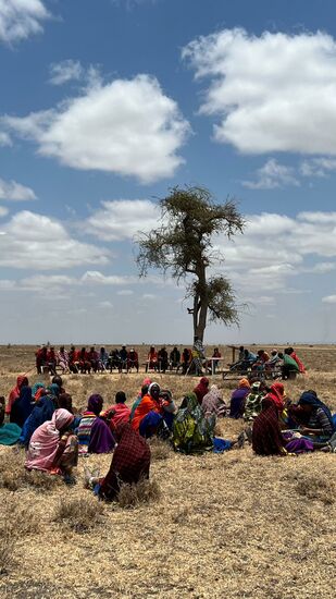 Unter dem Baum ziehen sie sich zur Beratung zurück.