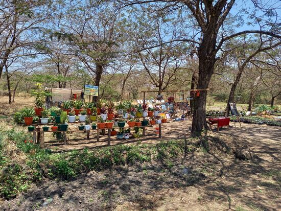 Hier geben wir unsere letzten Schillinge aus.