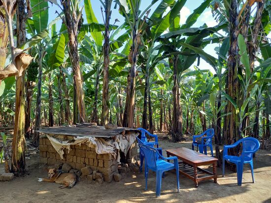 Hier nehmen wir Platz