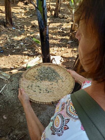Durch gekonntes schütteln wird der Spreu von der Bohne entfernt.