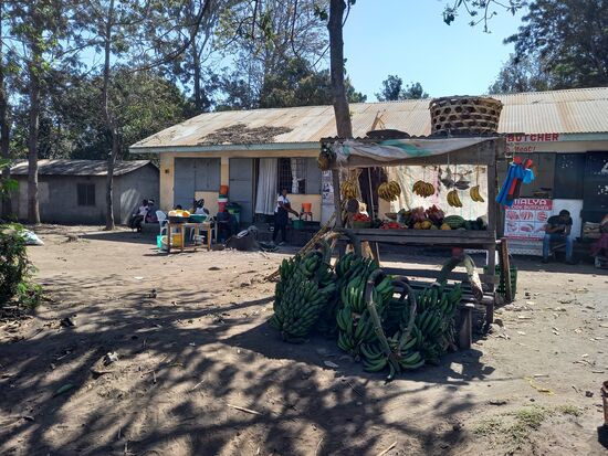 Auch in diesem Dorf reiht sich Shop an Shop und wir fragen uns, wie sie am Ende alle davon leben können.