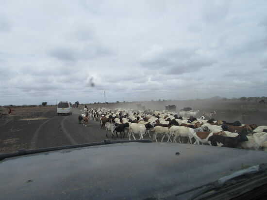 Alles ist staubig und furchtbar trocken.