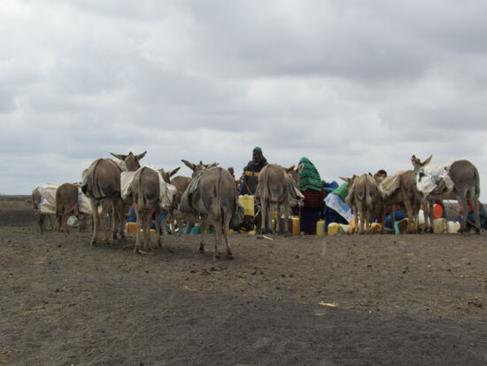 An der Wasserstelle drängen sich die Massai und füllen ihre Kanister.