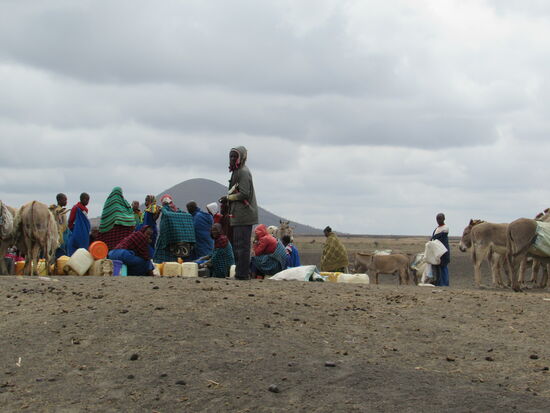 Nicht jeder besitzt einen Esel.