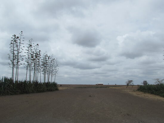 Am Horizont ist die Schule zu erkennen.
