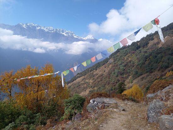 Wir genießen trotz der Anstrengung den Blick in die Ferne.