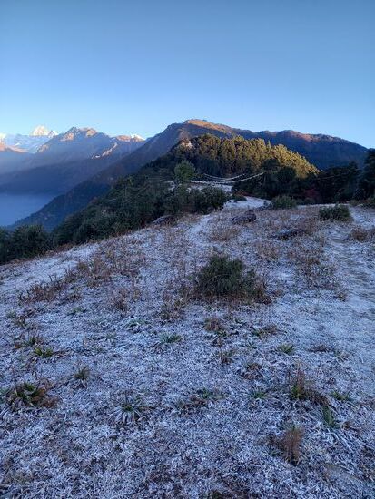 Alles ist mit Reif überzogen.