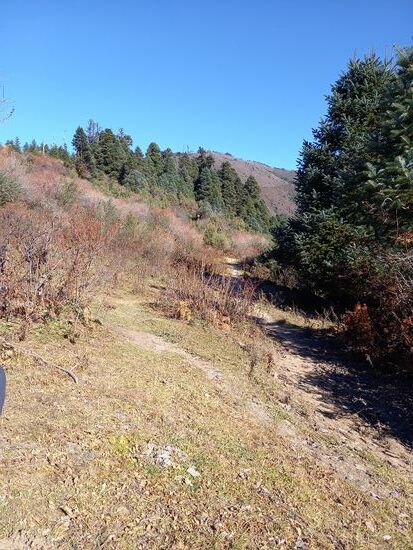 Irgendwo da oben liegt der View Point.