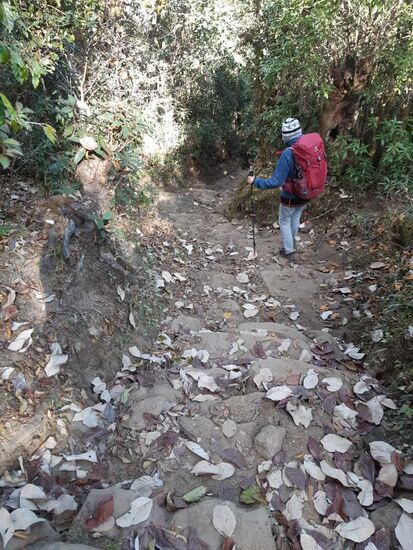 Dann geht es ungezählte Stufen abwärts