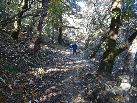 Die Luft ist angenehm kühl und frisch.