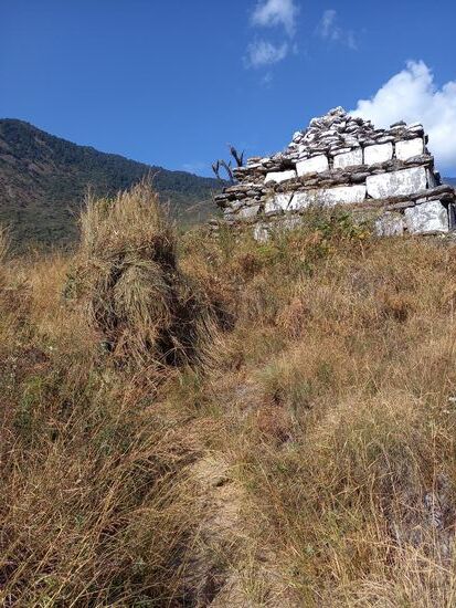 In der Graslandschaft ist die Frau mit ihrer Last auf dem Rücken kaum zu erkennen.