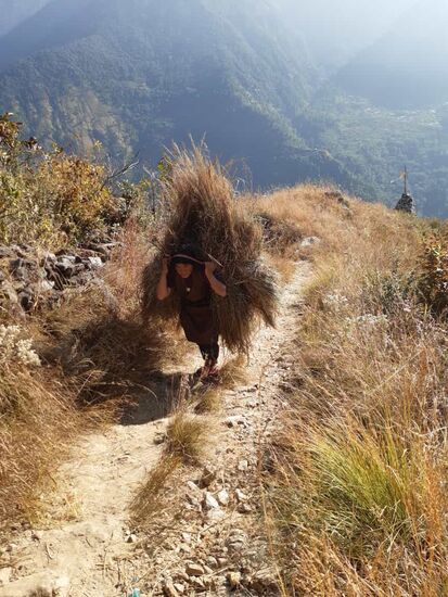Unglaublich, was diese Frau den Berg hoch schleppt.