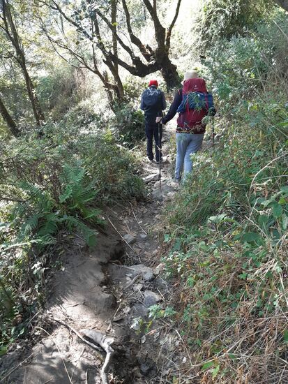 Der Weg nach unten ist abwechslungsreich.
