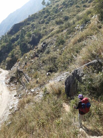 Kurz vor dem Highway