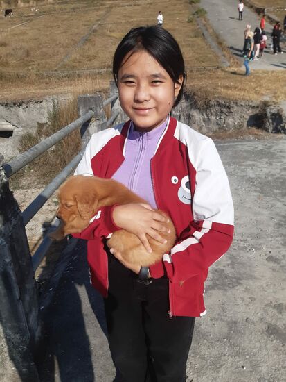 Der kleine Hund durfte auch mit.