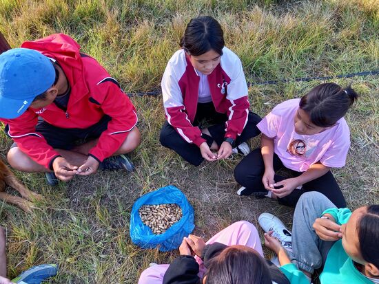Erdnüsse zur Stärkung
