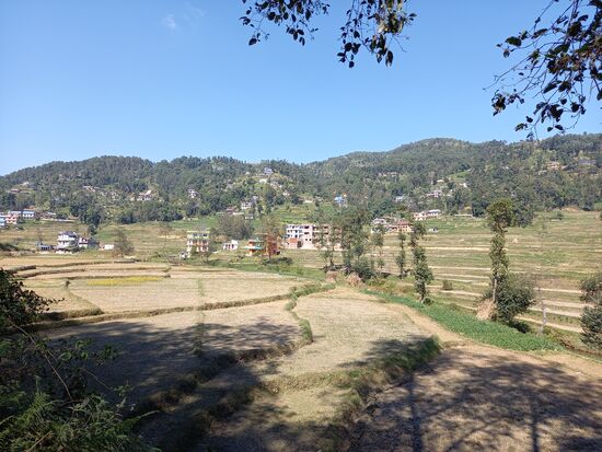 Hinter den Reisfeldern, irgendwo auf dem Berg lebt die Familie.