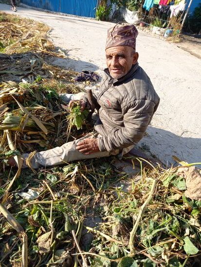 Auf dem Weg zum Bus treffen wir auf den Großvater von Anjali. Er sitzt am Wegesrand und schneidet das Futter für seine Büffel. Sie sind die Einnahmequelle der Familie.