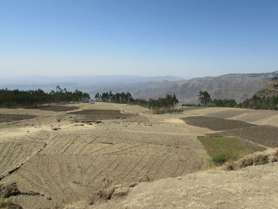 Blick auf die Felder. Die Bestellung ist reine Handarbeit mit den Ochsen.