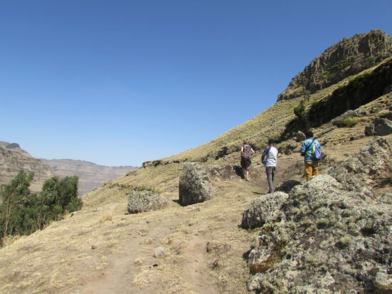 Es geht immer weiter aufwärts