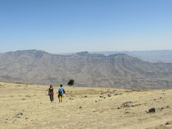 Jetzt geht es zu dem Baum, der in der Ferne zu sehen ist.