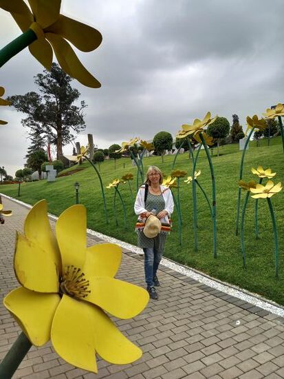 Diese Blume ist das Wahrzeichen von Addis Abeba. 
Addis Abeba heißt soviel wie neue Blume. Wer mit Air Ethiopia nach Äthiopien kommt,  sieht diese Blume auch auf der traditionellen Kleidung der Stewardessen.