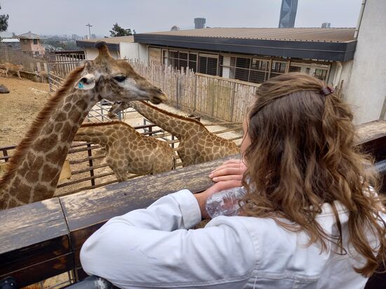 Der kleine Zoo ist nicht wirklich mein Geschmack. Die Tiere werden auf sehr engen Raum gehalten.