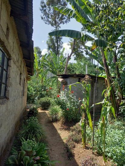 Ich bin auf Anhieb begeistert. Hier gibt es eine ausgesprochen große Pflanzenvielfalt.