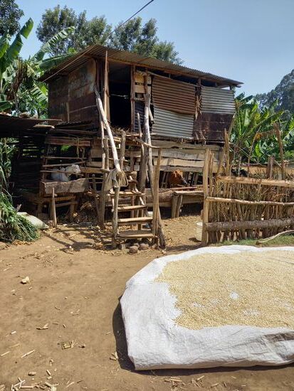 Hier wird das Vieh der Familie gehalten