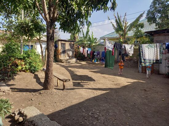 Ich sehe mich auf dem kleinen Hof um.