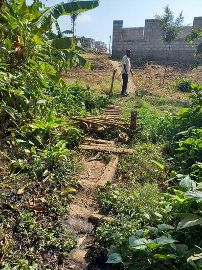 Afrikanische Brücke  