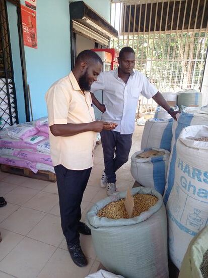 Frank überprüft die Qualität der Bohnen.