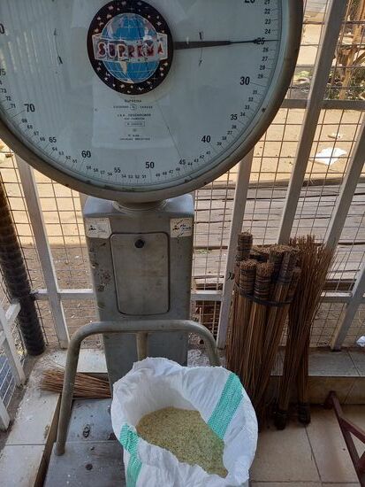 Wir kaufen 50kg Reis