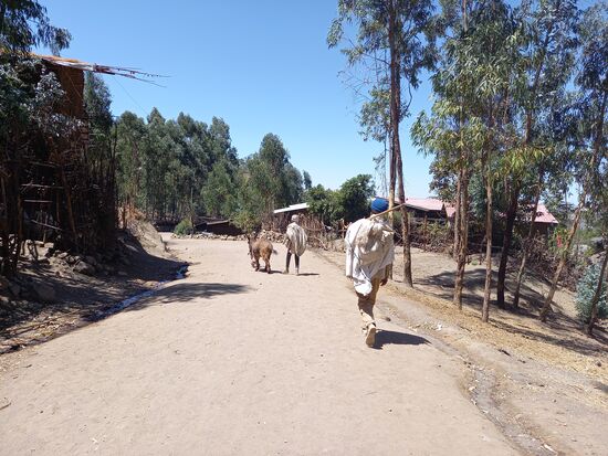Man ist hier nie allein auf den Straßen unterwegs und auch Esel gehören hier zum Straßenbild. 
Alles ist trocken und staubig