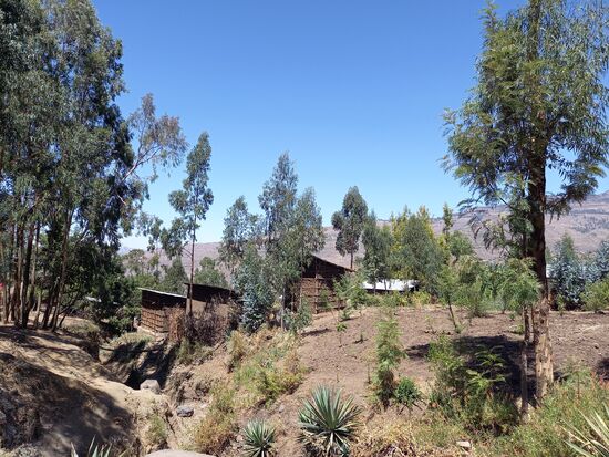 Die typischen Wohnhäuser sind aus den Stämmen der Eukalyptus Bäume und zum Teil noch aus Dung gebaut. Die Eukalyptus Bäume hat einst ein König von seiner Reise nach Australien mitgebracht.  Die Farmer lieben die schnellwachsenden Bäume, die viel zu viel Wasser verbrauchen.