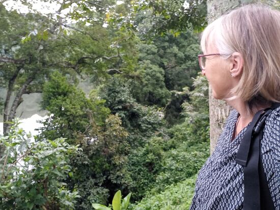 Ein letzter Blick über den See und das üppige Grün.