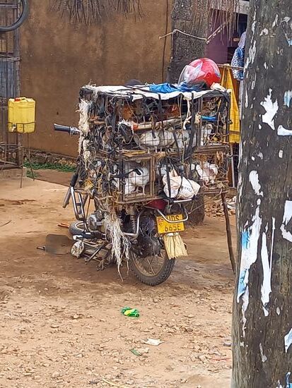 Oh weh, die armen Hühner.