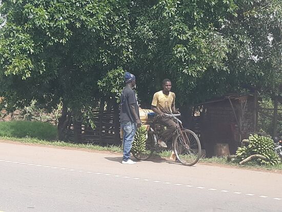Unterwegs sehen wir sehr viele Fahrrad Bananentransporter.